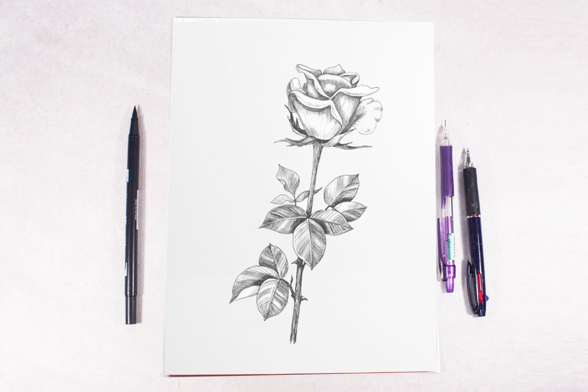 Vision Oslo Paper 9x12in (250Sheet)