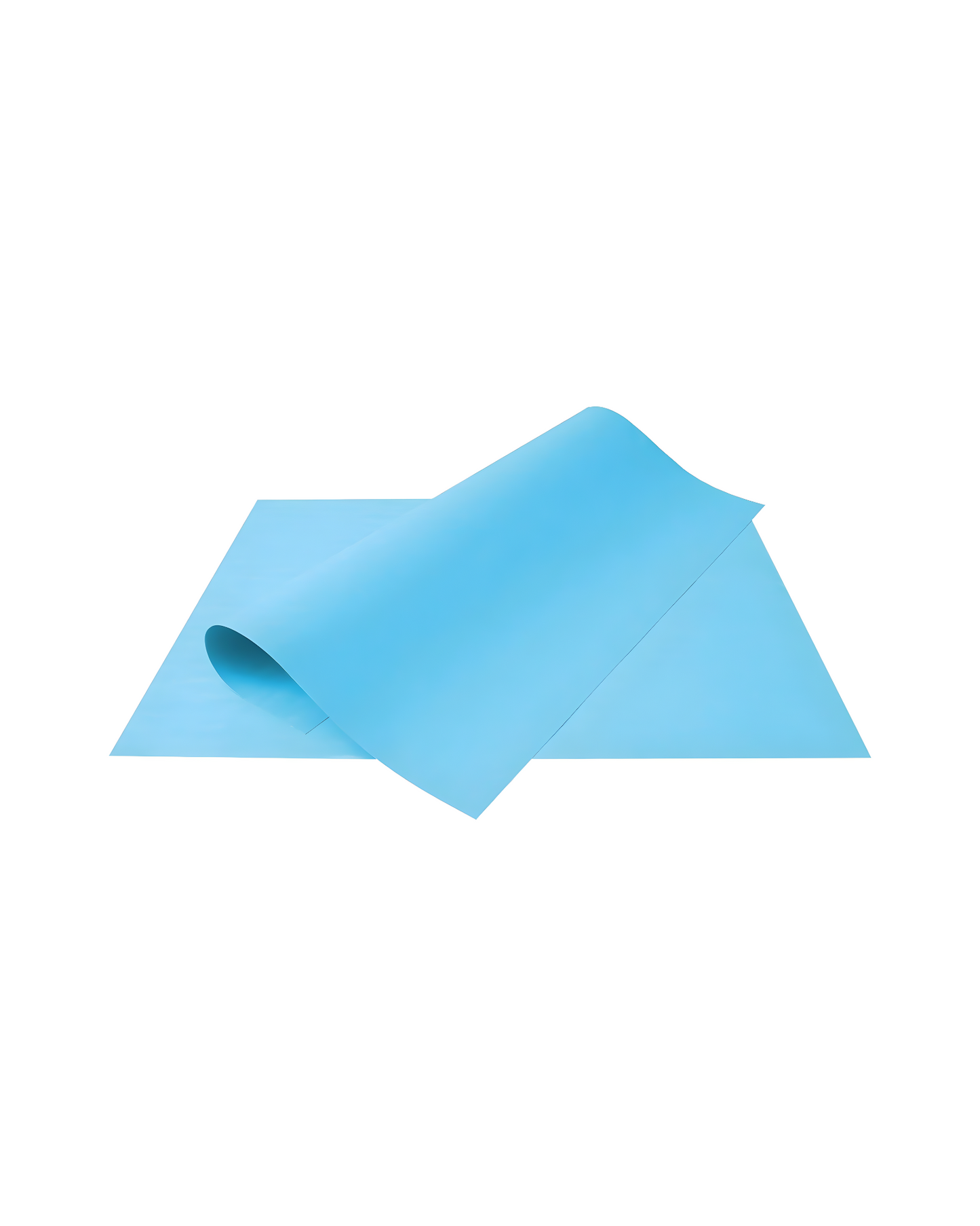 cartolina