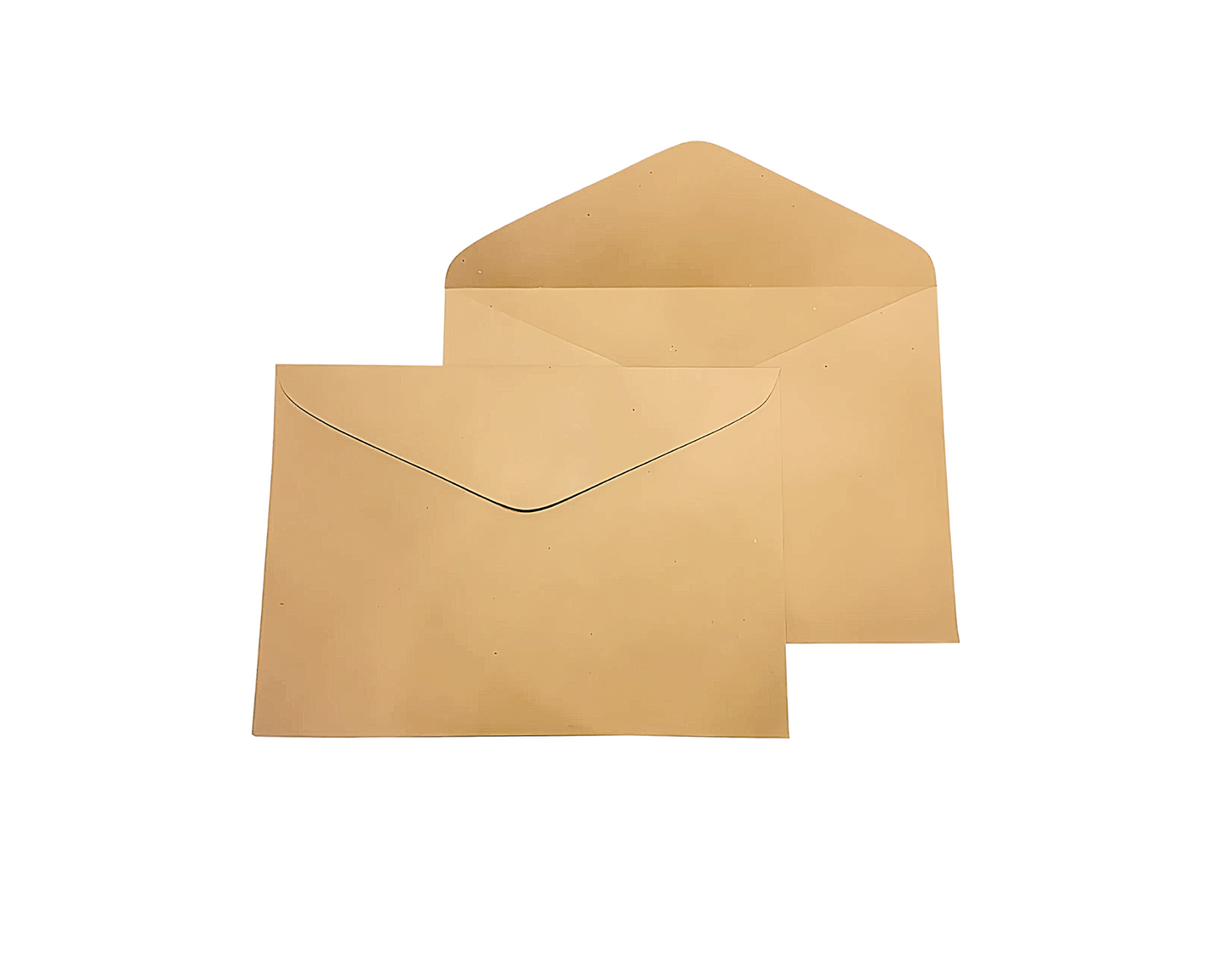Document Brown Envelope 9x12in (500pcs)