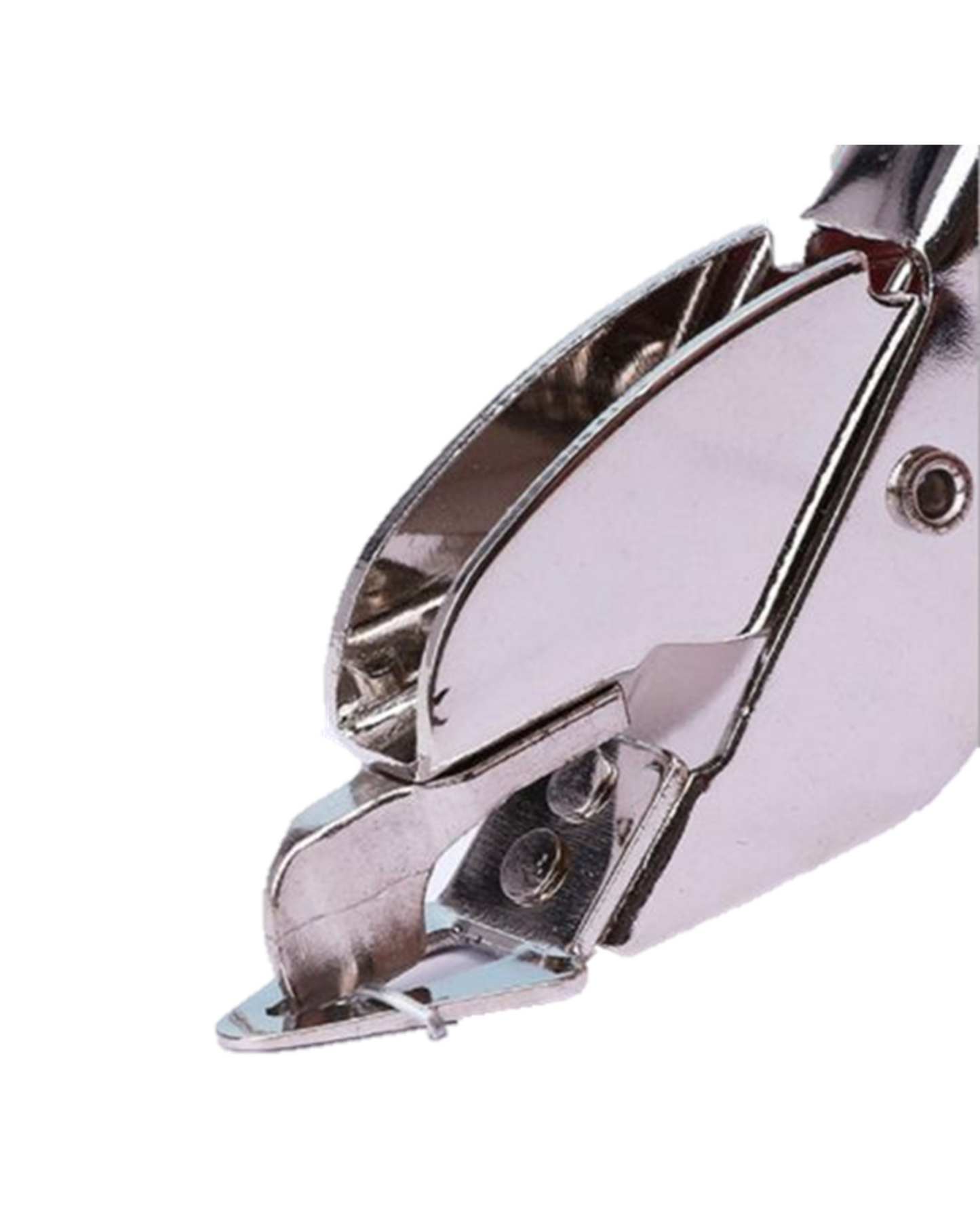Staple Remover