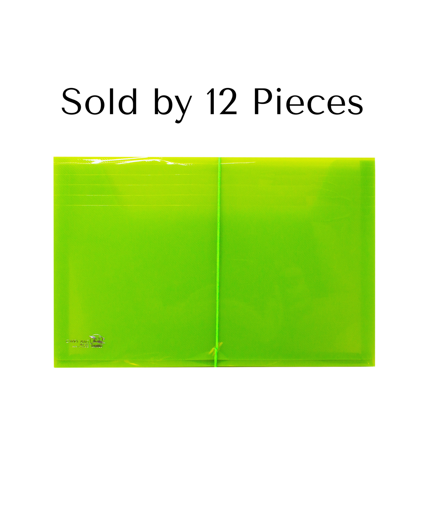 Plastic Envelope