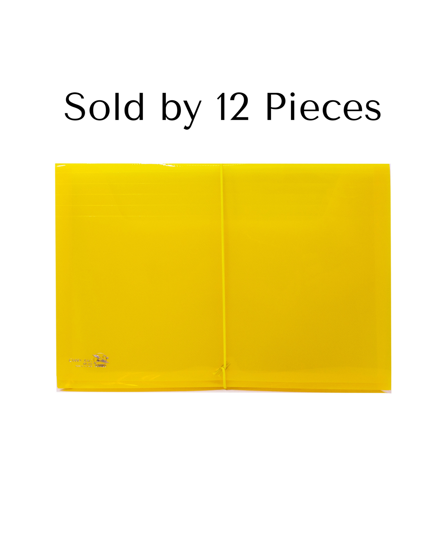 Plastic Envelope