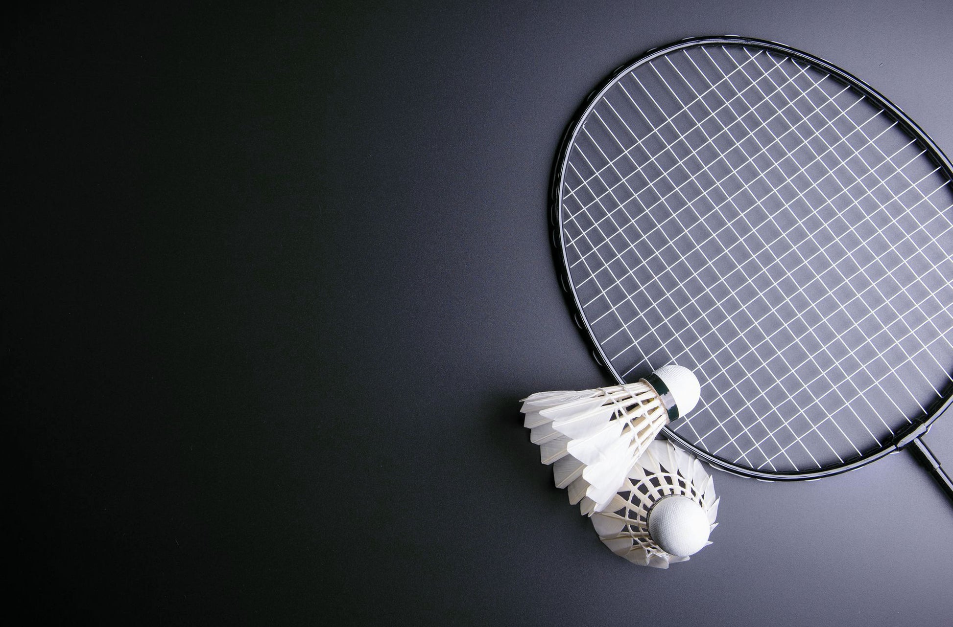 HBW Feather Shuttlecock