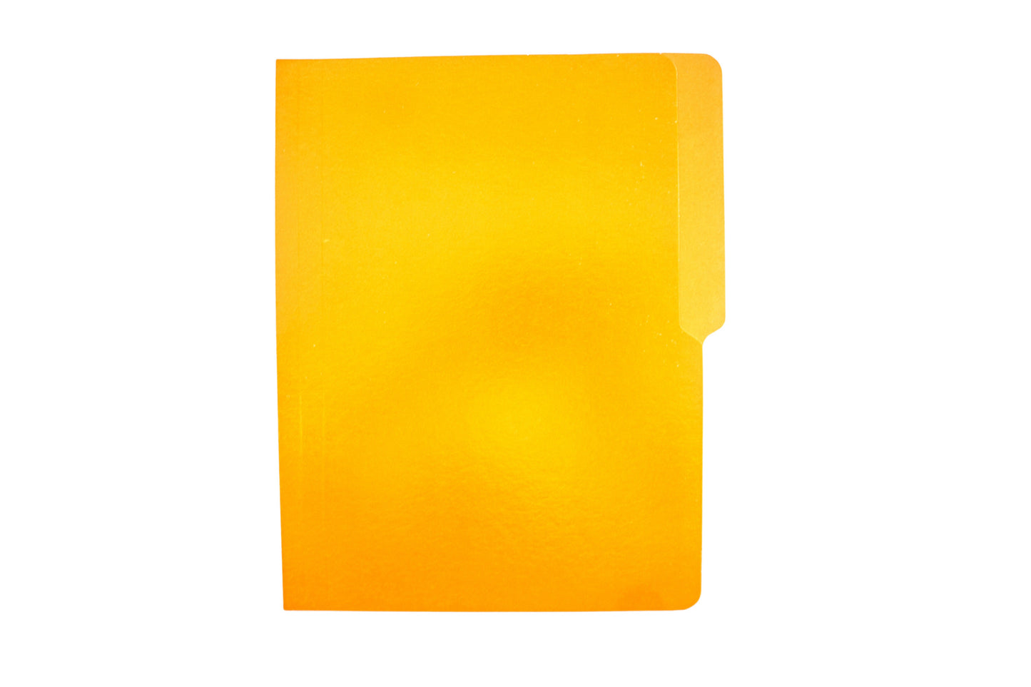 plain folder short