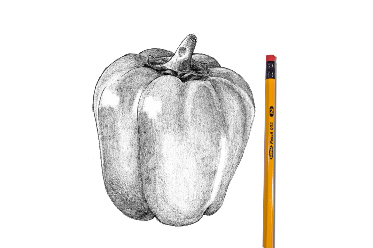 HBW Pencil