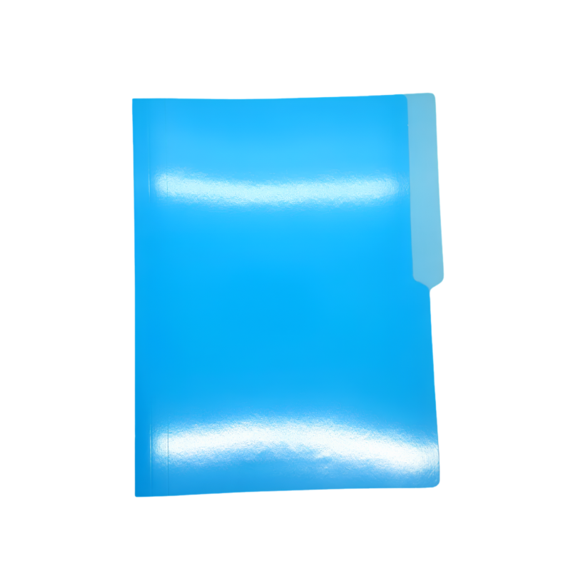 Colored Plain Folder Short