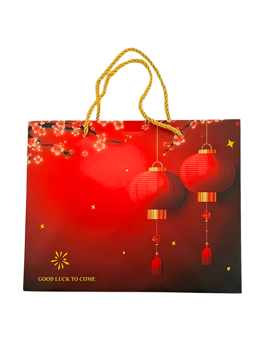 Hard Paper Bag Lantern Design Medium | Per Piece
