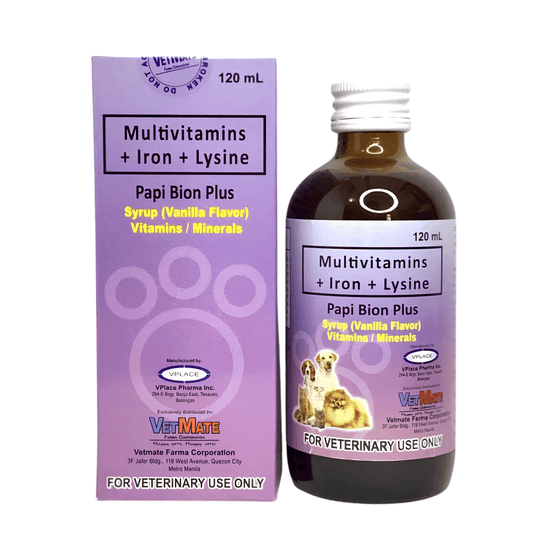 Papi Bion Plus Multivitamins+Iron+Lysine 120ml