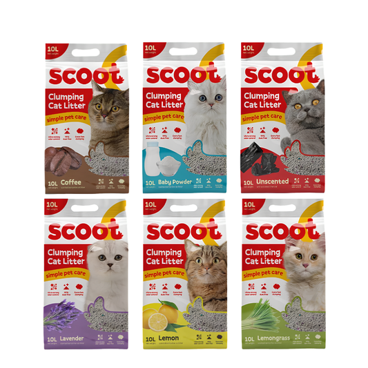 Scoot Cat Litter 10L
