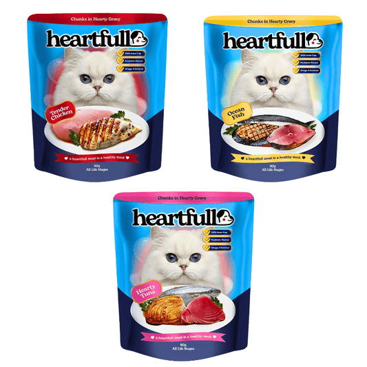 Heartfull Cat Wet Food 80g