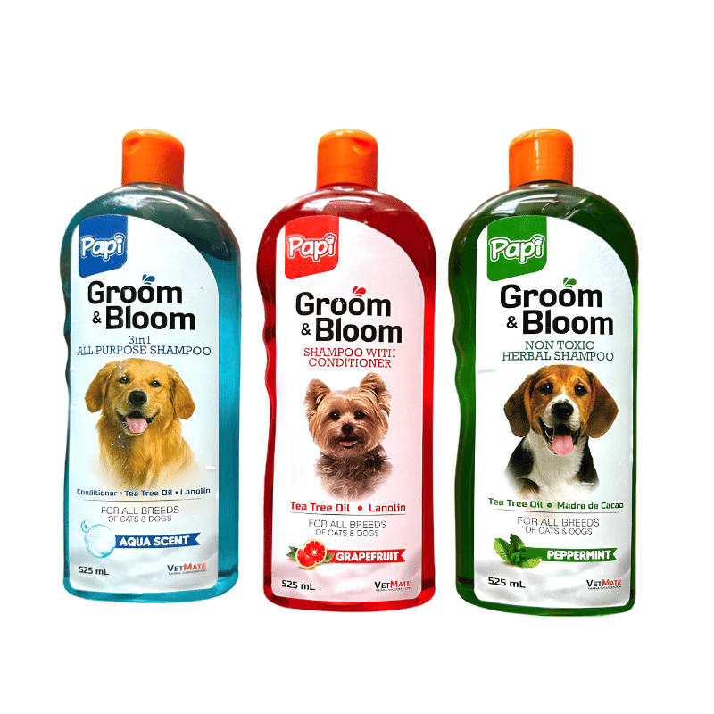 Papi Groom & Bloom Shampoo 525ml