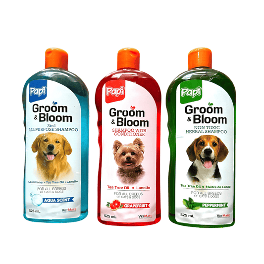 Papi Groom & Bloom Shampoo 525ml