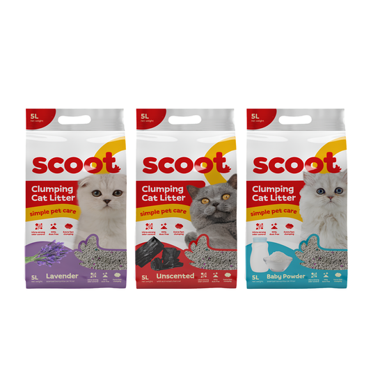 Scoot Cat Litter 5L