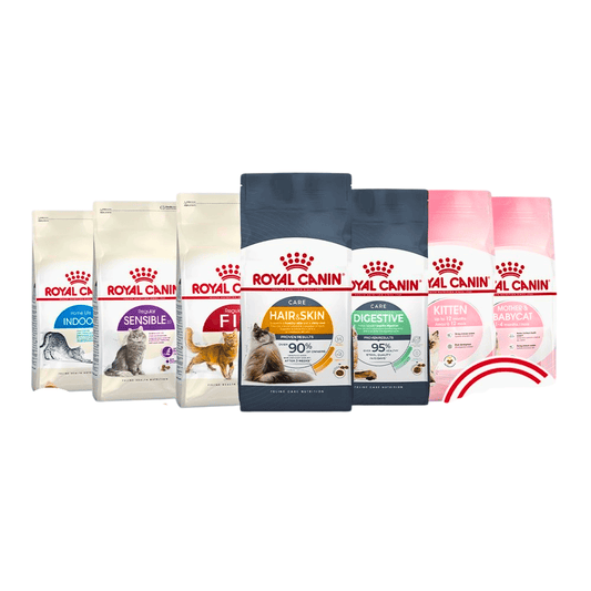 Royal Canin Cat Dry Kibble 400g