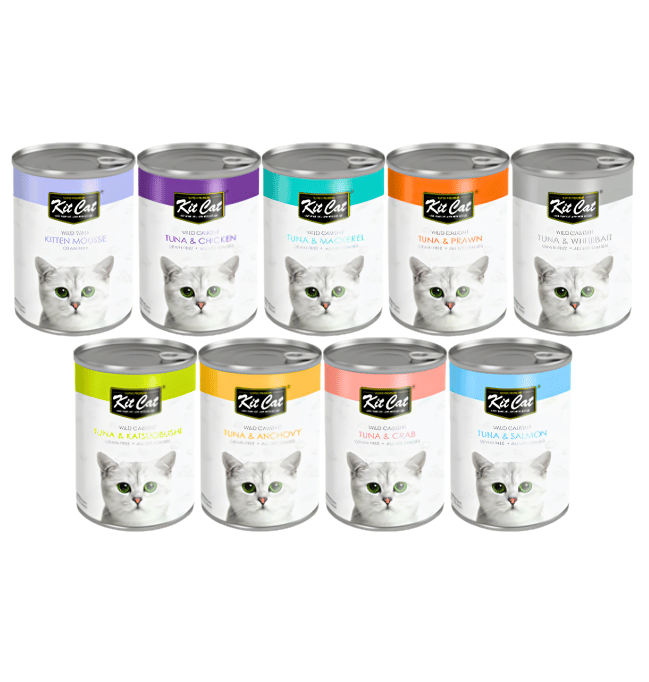 Kitcat Can Wet Food 400g