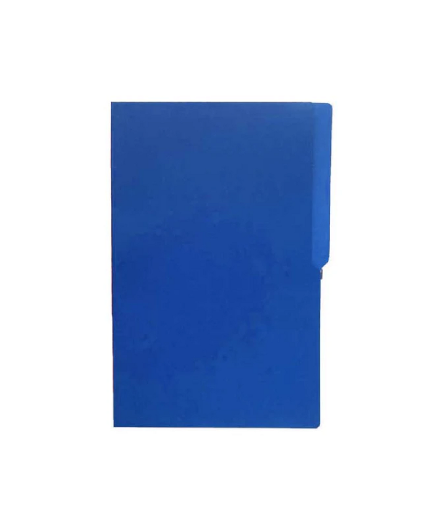 Colored Plain Folder Long | 100pcs