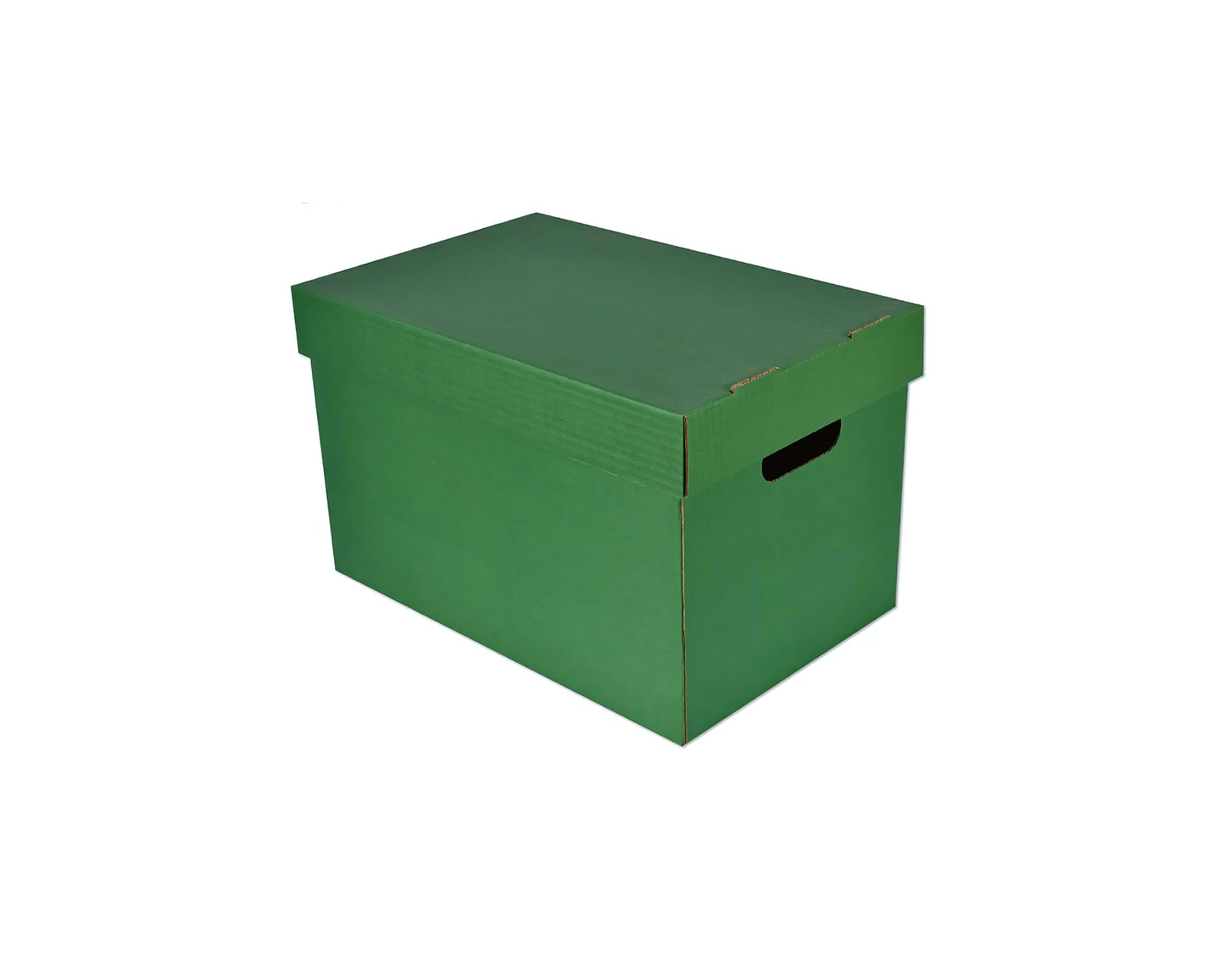 Storage Box with Cover 10x15.5x11in