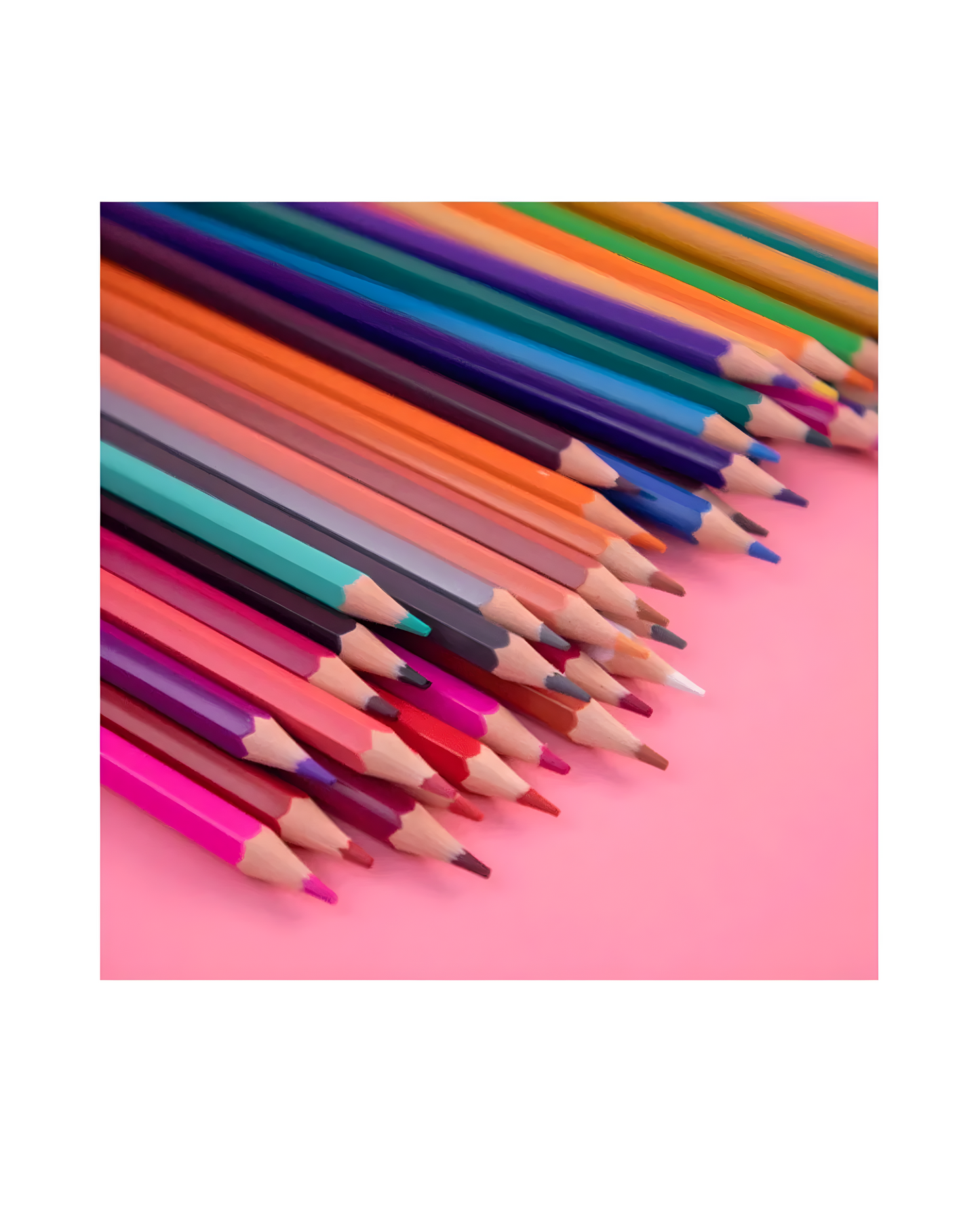 Joy Professional Color Pencil Long 12C 24Sets