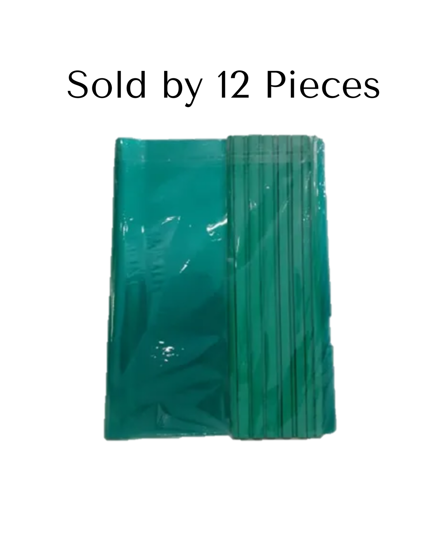 Plastic Folder with Slide Short | 12pcs