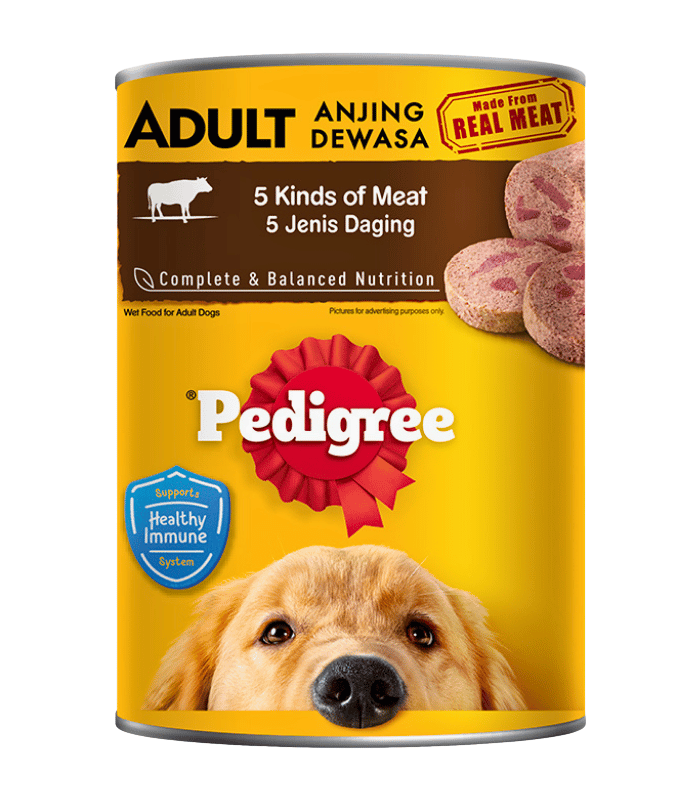 Pedigree Can Dog Food 400g