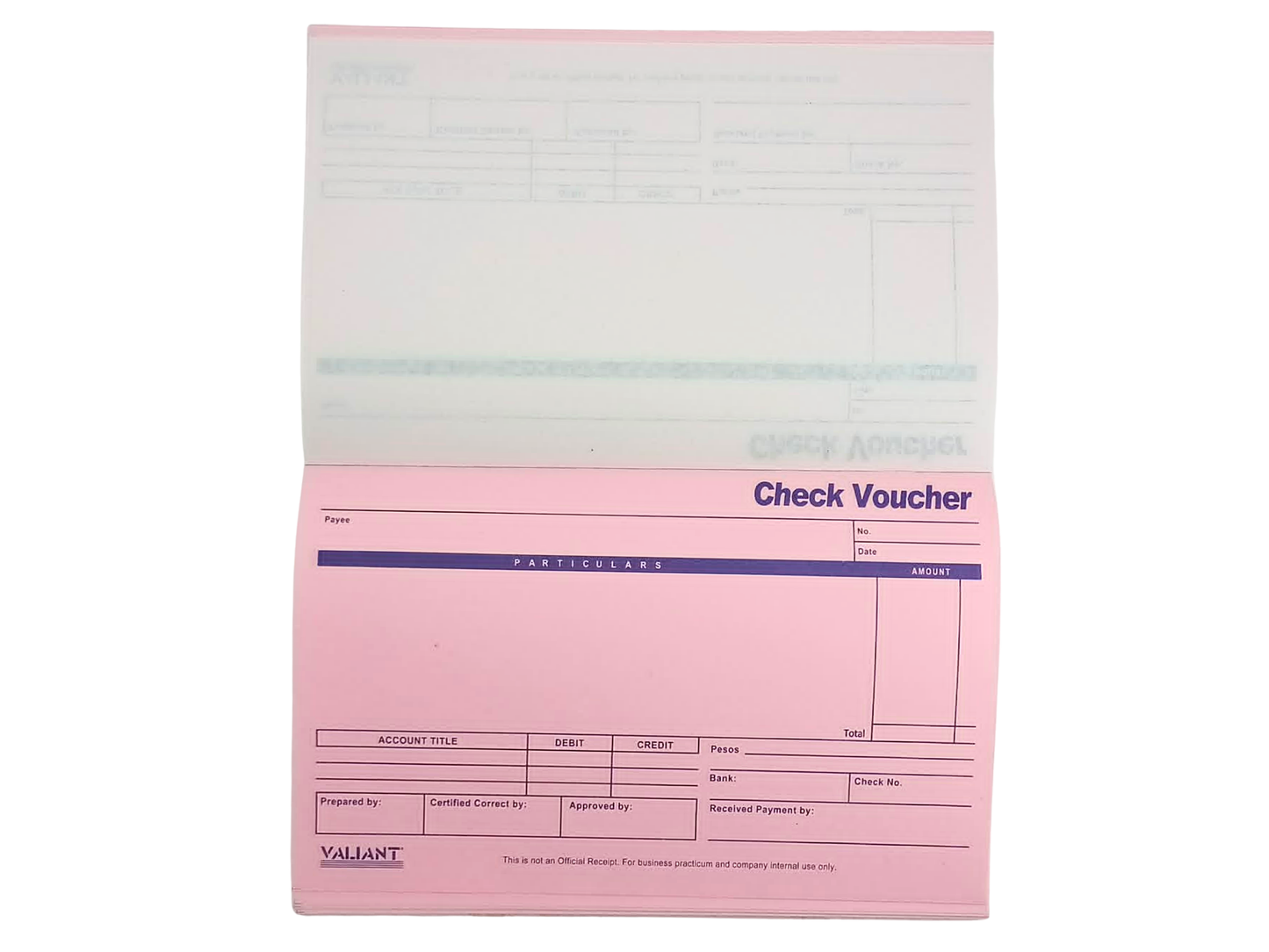 Check Voucher 5.25 X 8.25in| Per Piece