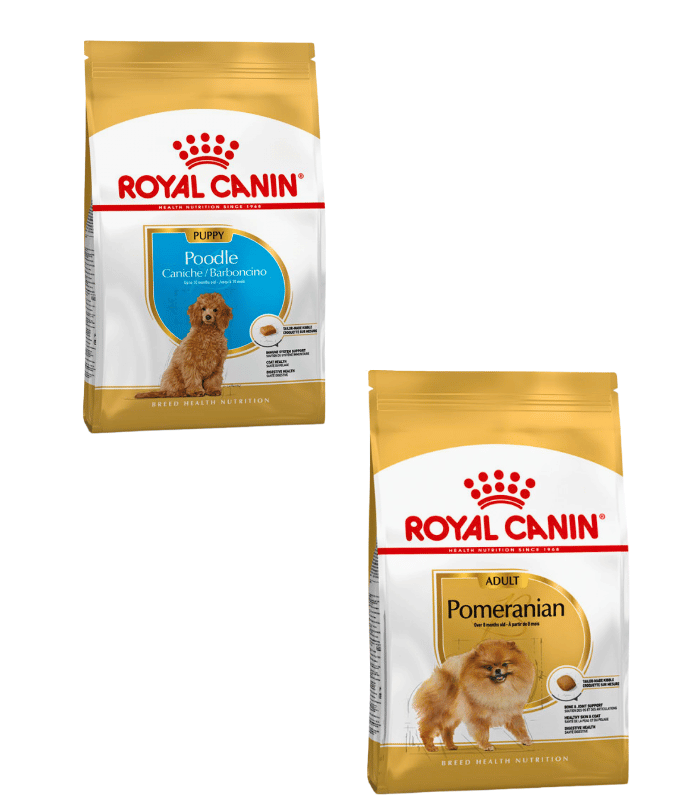 Royal Canin Dog Dry Kibble 500g