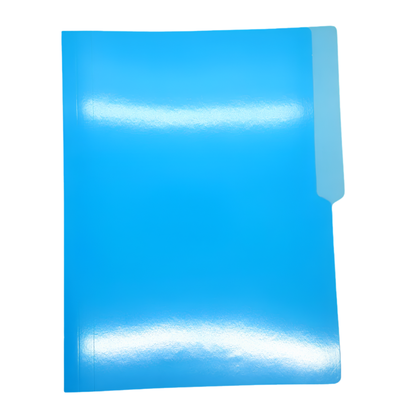 Colored Plain Folder Short