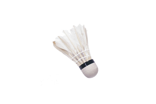 HBW Feather Shuttlecock